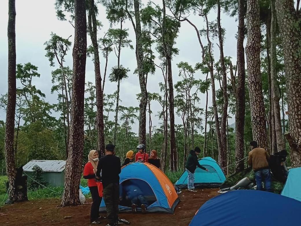 Celcius Villa And Camp With Tour Ijen Glagah  Exterior photo